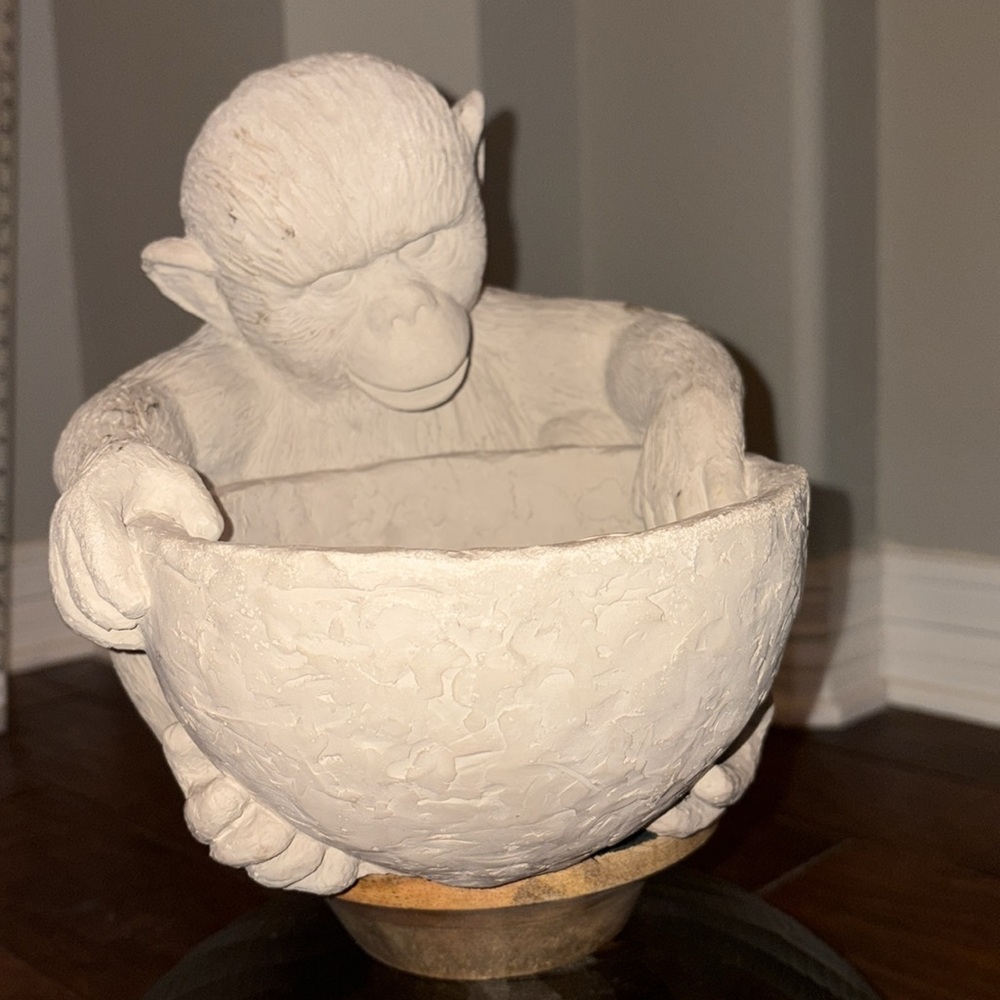 Monkey holding a Bowl